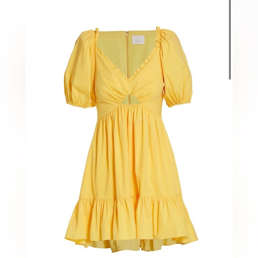 Cinq a Sept minidress NWT beautiful